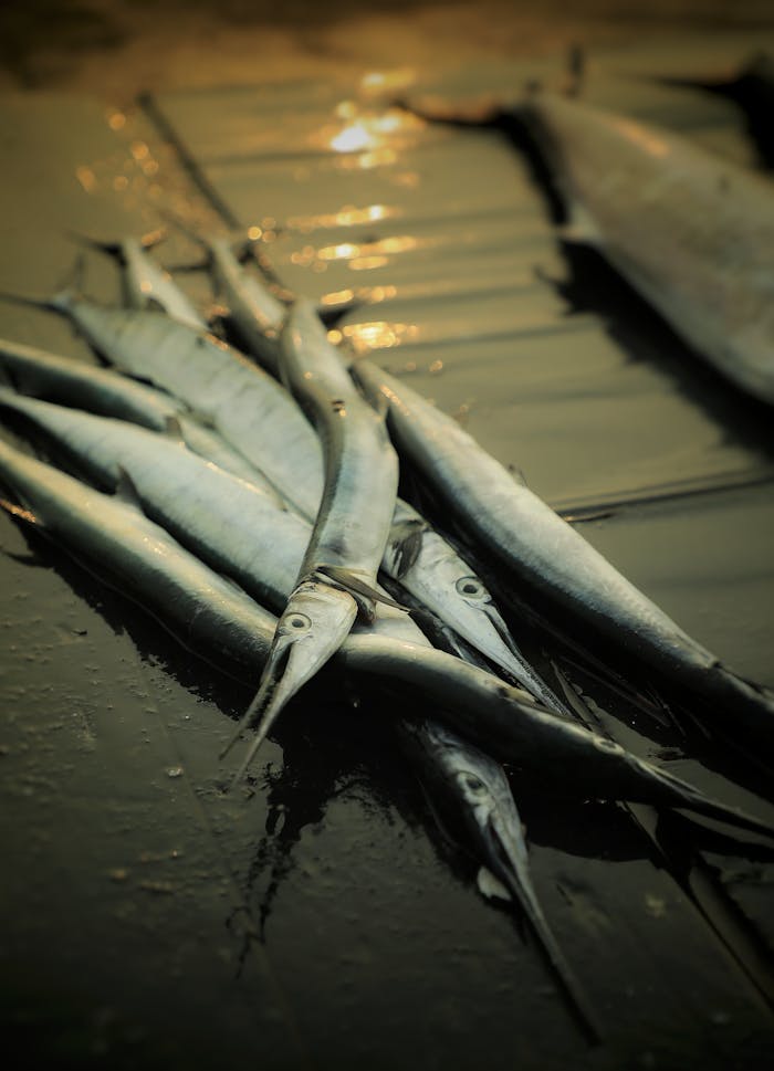 pexels photo 3766161.jpeg